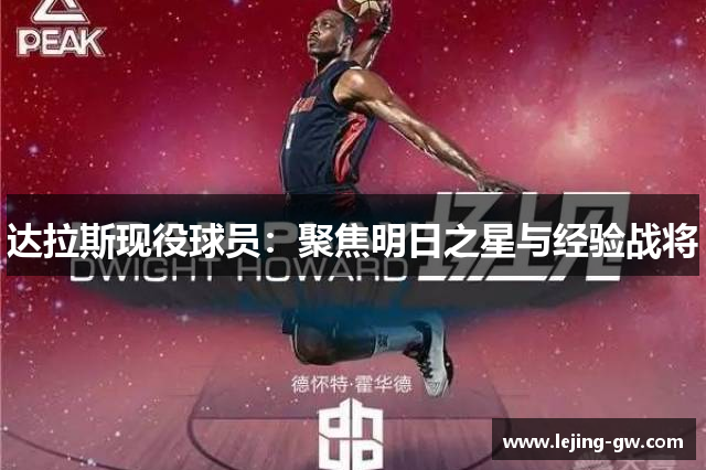 达拉斯现役球员：聚焦明日之星与经验战将