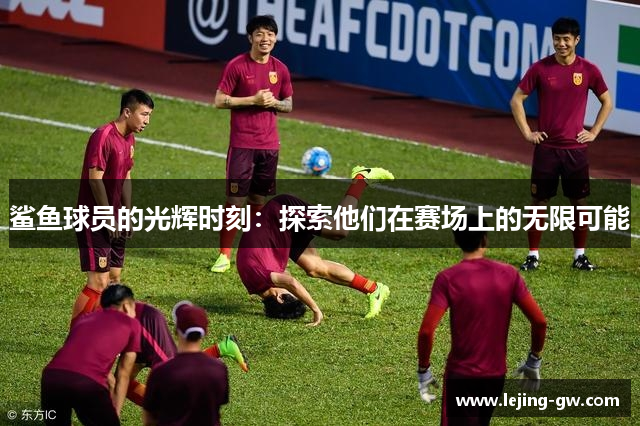 鲨鱼球员的光辉时刻：探索他们在赛场上的无限可能